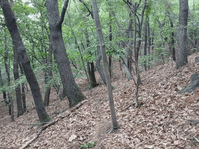 B2148042025013000184623.jpg