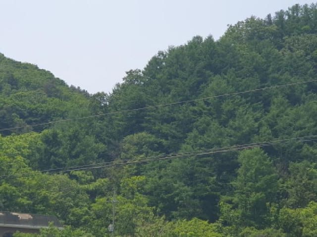 B214804202501300019381.jpg