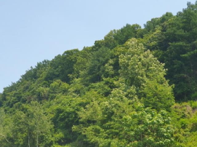 B214804202501300019833.jpg