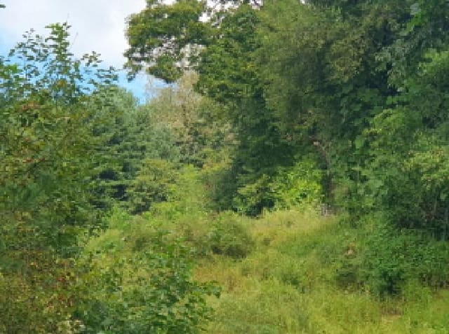 B214804202501300033921.jpg