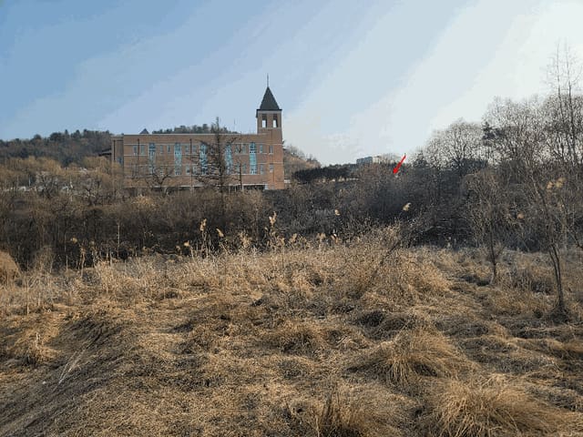 B214804202501300713274.jpg