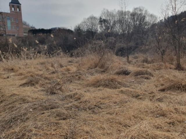 B214804202501300713272.jpg