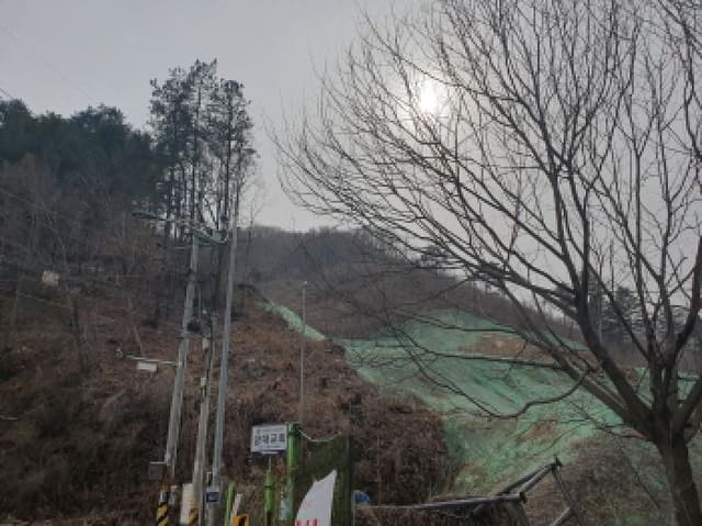 B214804202501300713423.jpg