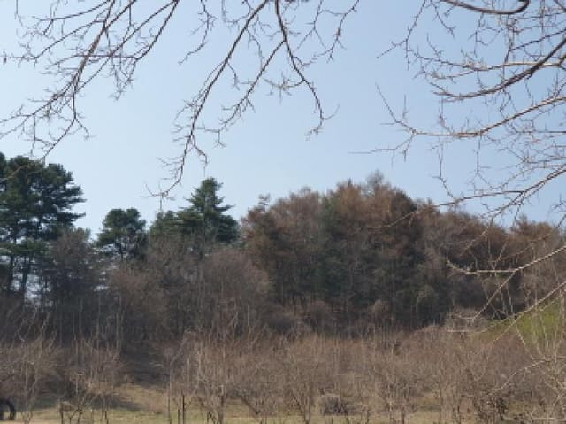 B214804202501300714242.jpg
