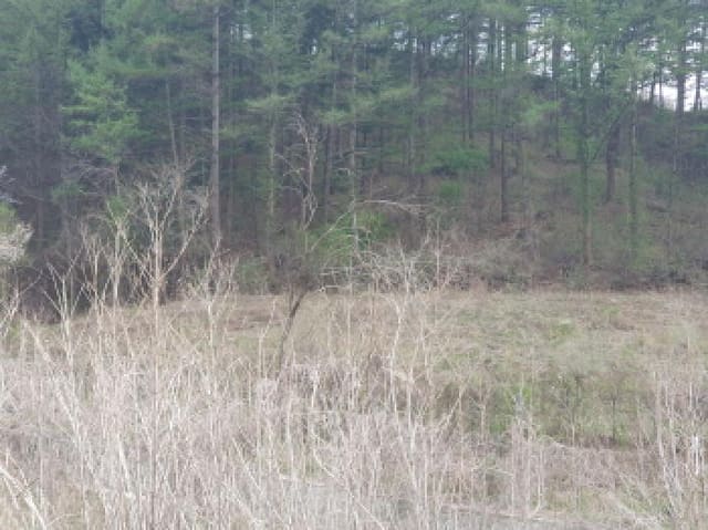 B214804202501300715444.jpg
