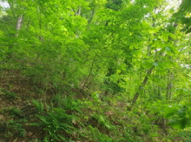B214804202501300716162.jpg
