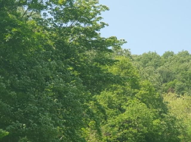 B214804202501300717104.jpg