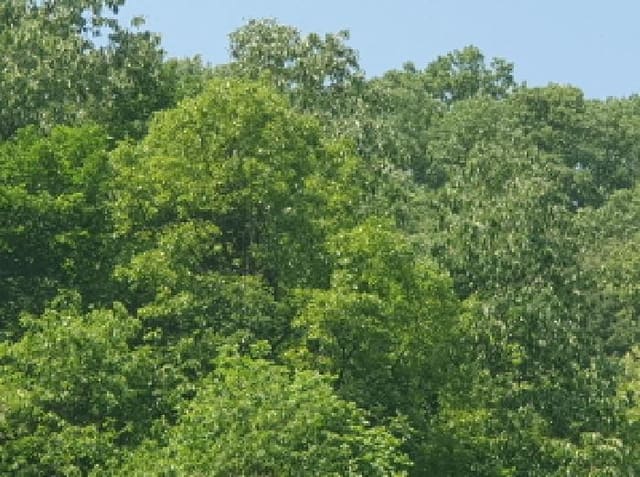 B214804202501300717102.jpg