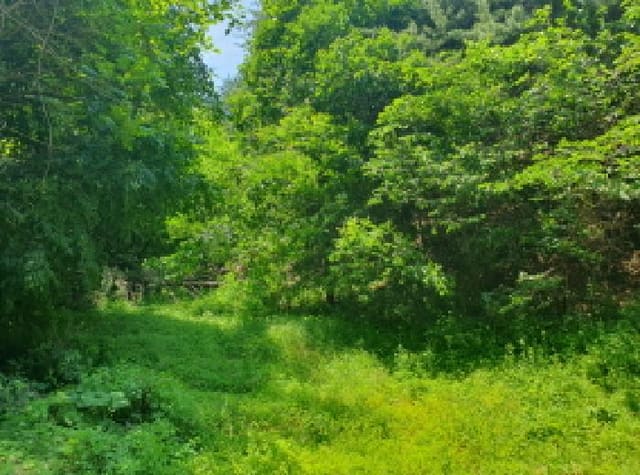 B214804202501300717571.jpg
