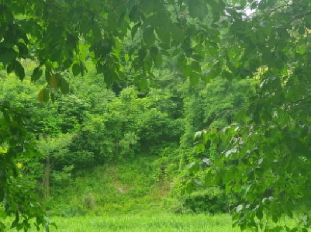 B214804202501300717974.jpg
