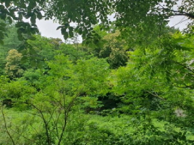 B214804202501300717971.jpg