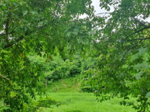 B214804202501300717973.jpg