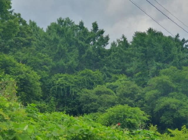 B214804202501300718721.jpg