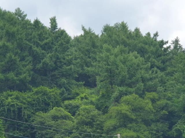 B214804202501300718722.jpg