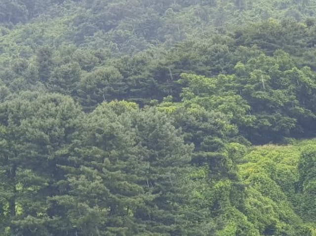 B214804202501300719603.jpg