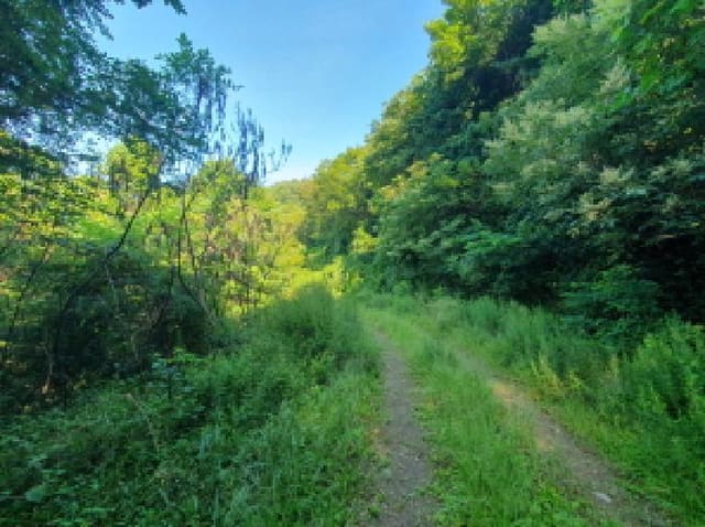 B214804202501300720044.jpg