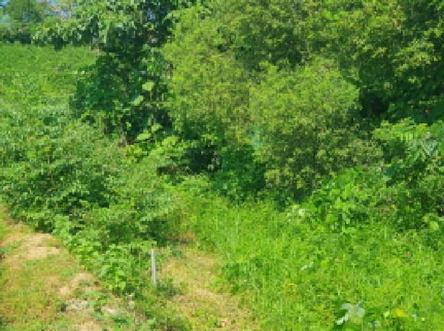 B214804202501300720412.jpg