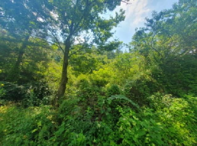 B214804202501300720532.jpg