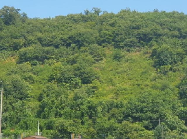 B214804202501300721433.jpg