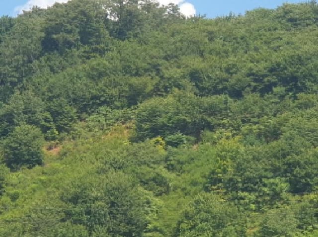 B214804202501300721432.jpg