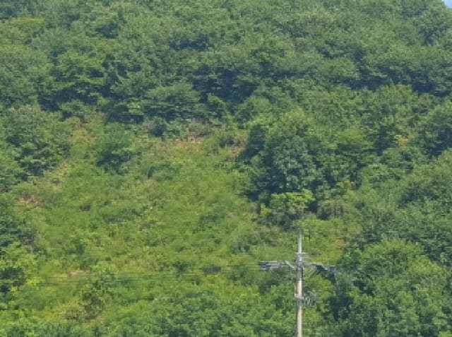 B214804202501300721431.jpg