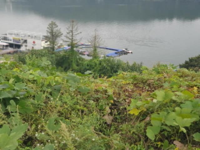B214804202501300723604.jpg