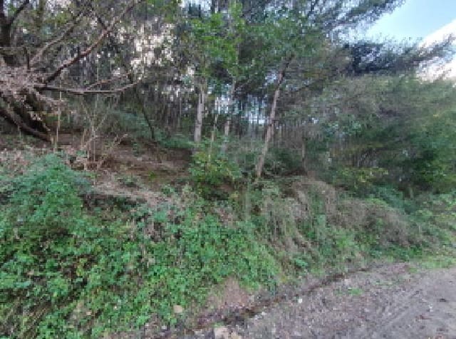 B214804202501300723861.jpg