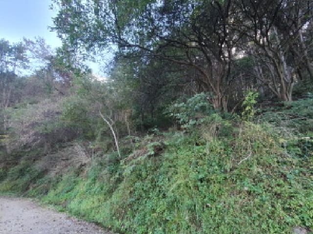 B214804202501300723863.jpg