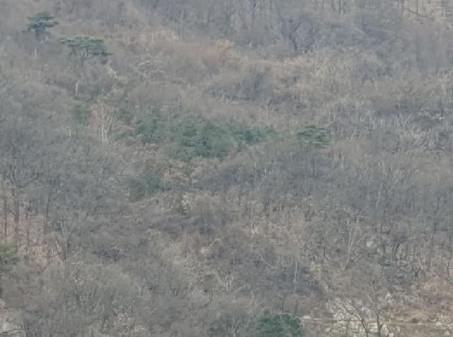 B214804202501300726614.jpg