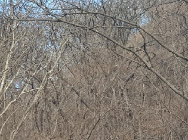 B214804202501300726611.jpg
