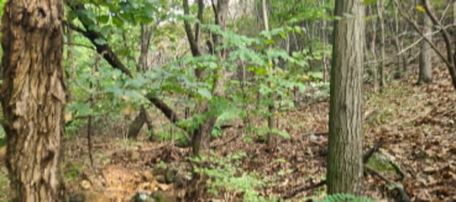B214807202401300818441.jpg