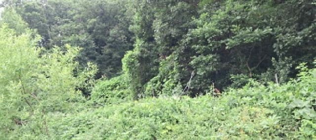 B214807202501300033392.jpg