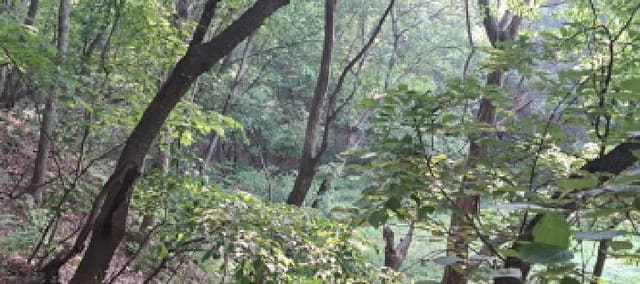 B214807202501300631754.jpg