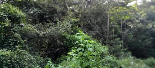 B214807202501300637331.jpg
