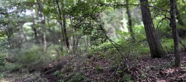 B214807202501300637334.jpg