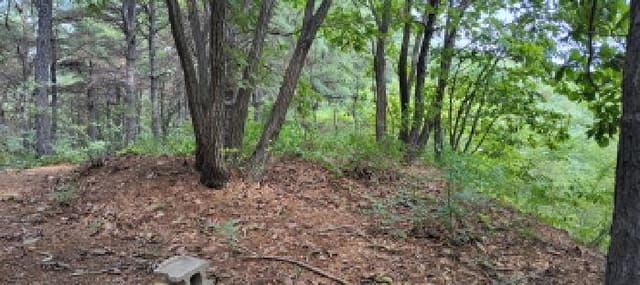 B214807202501300638204.jpg