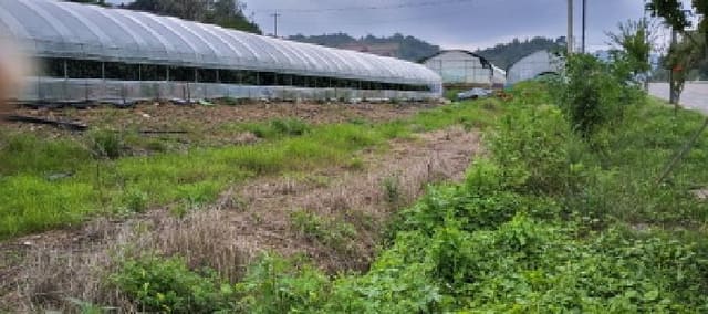 B214807202501300638282.jpg