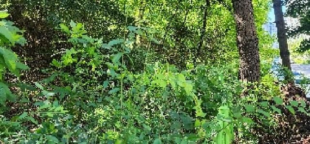 B214807202501300640351.jpg
