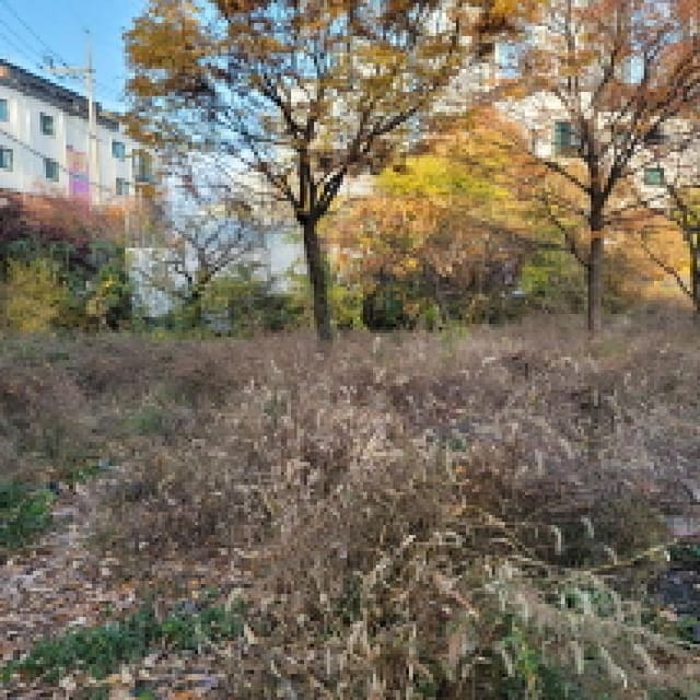 B214807202501300644672.jpg