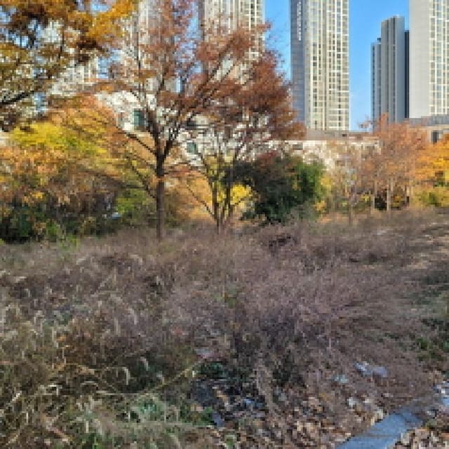 B214807202501300644673.jpg