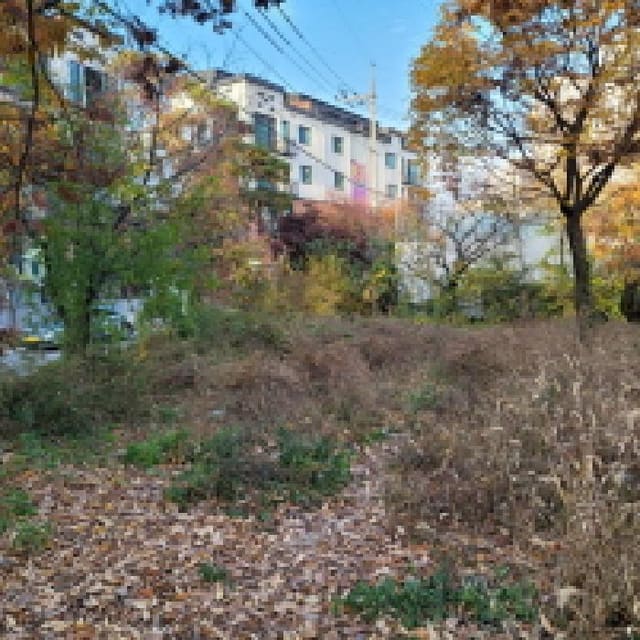 B214807202501300644671.jpg