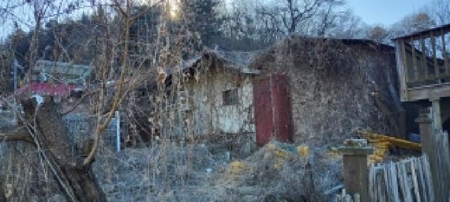 B214807202501300652211.jpg