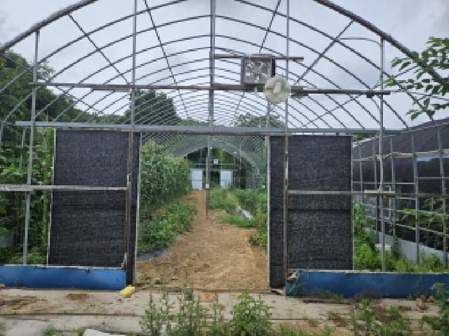 B250826202501300006071.jpg
