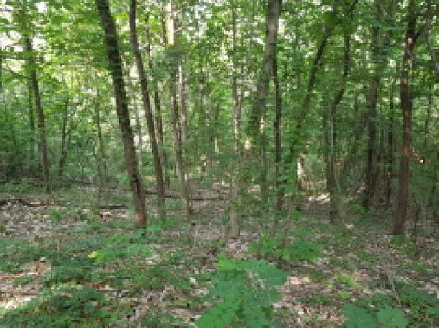 B250826202501300006323.jpg