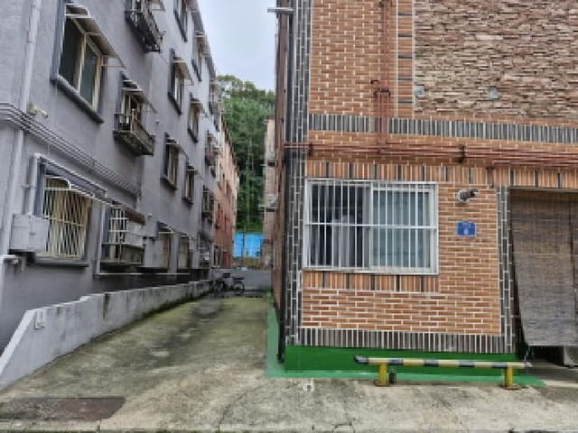 B250826202501300008901.jpg