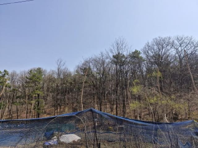 B250826202501300519361.jpg