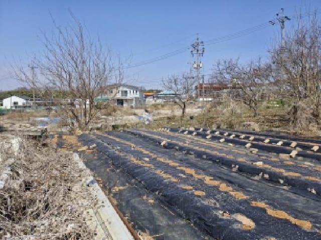 B250826202501300520002.jpg