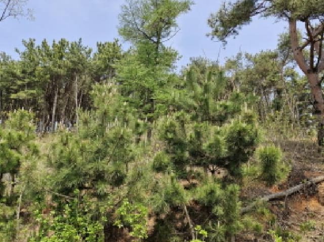 B250826202501300521562.jpg
