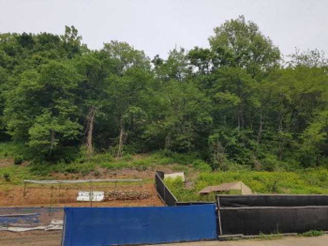 B250826202501300521661.jpg