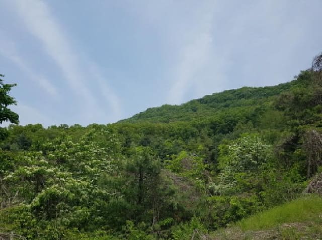 B250826202501300522851.jpg